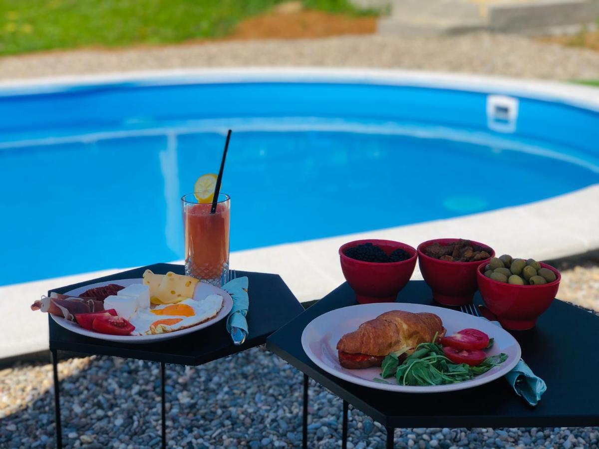 Вилла Fruska Pool House Sremska Kamenica Экстерьер фото