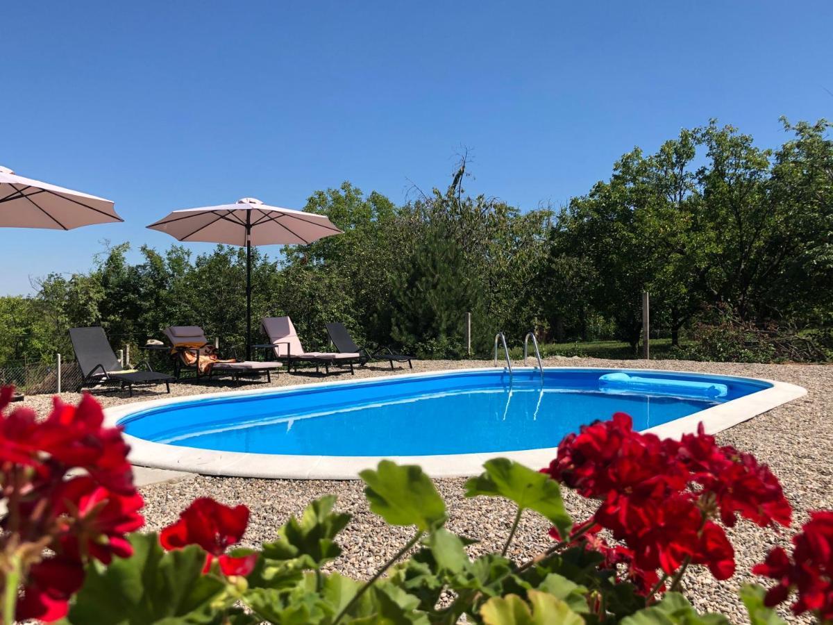 Вилла Fruska Pool House Sremska Kamenica Экстерьер фото