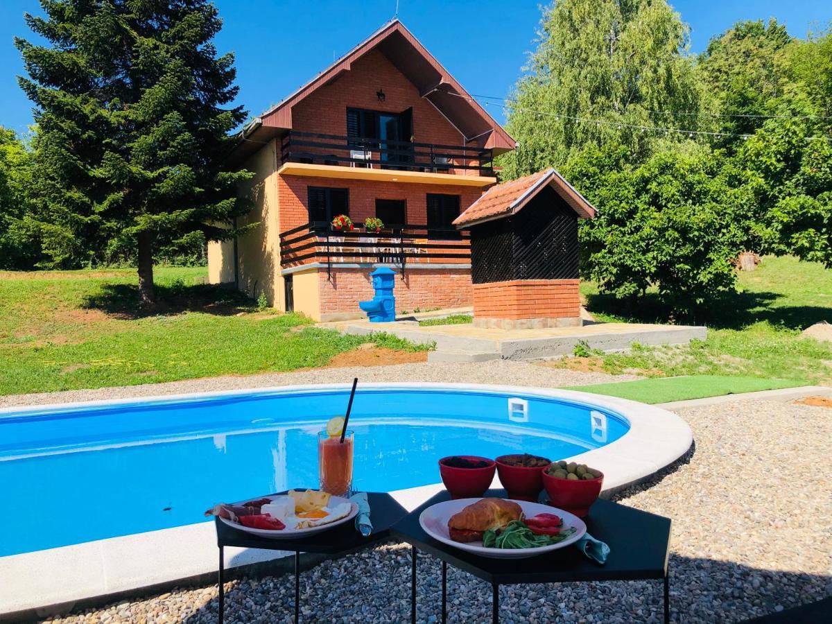 Вилла Fruska Pool House Sremska Kamenica Экстерьер фото