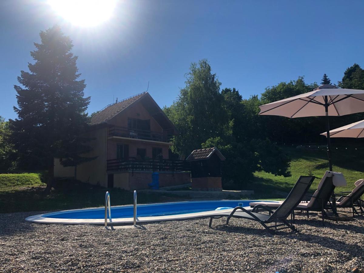 Вилла Fruska Pool House Sremska Kamenica Экстерьер фото