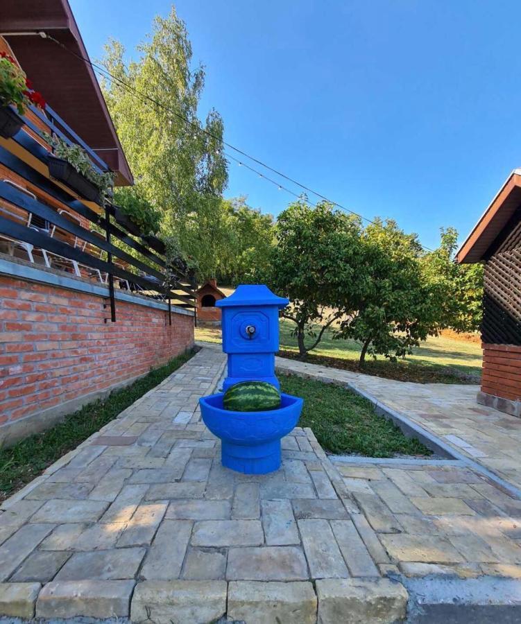 Вилла Fruska Pool House Sremska Kamenica Экстерьер фото
