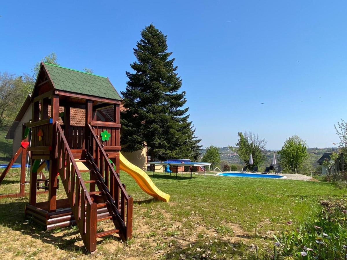 Вилла Fruska Pool House Sremska Kamenica Экстерьер фото
