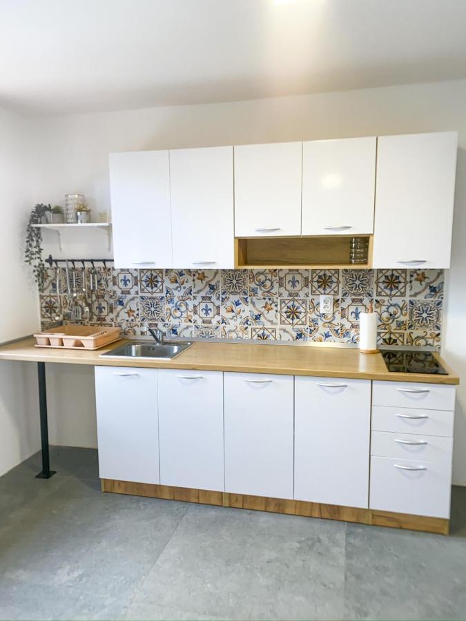 Вилла Fruska Pool House Sremska Kamenica Экстерьер фото
