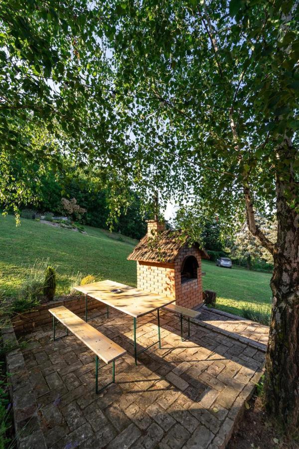 Вилла Fruska Pool House Sremska Kamenica Экстерьер фото