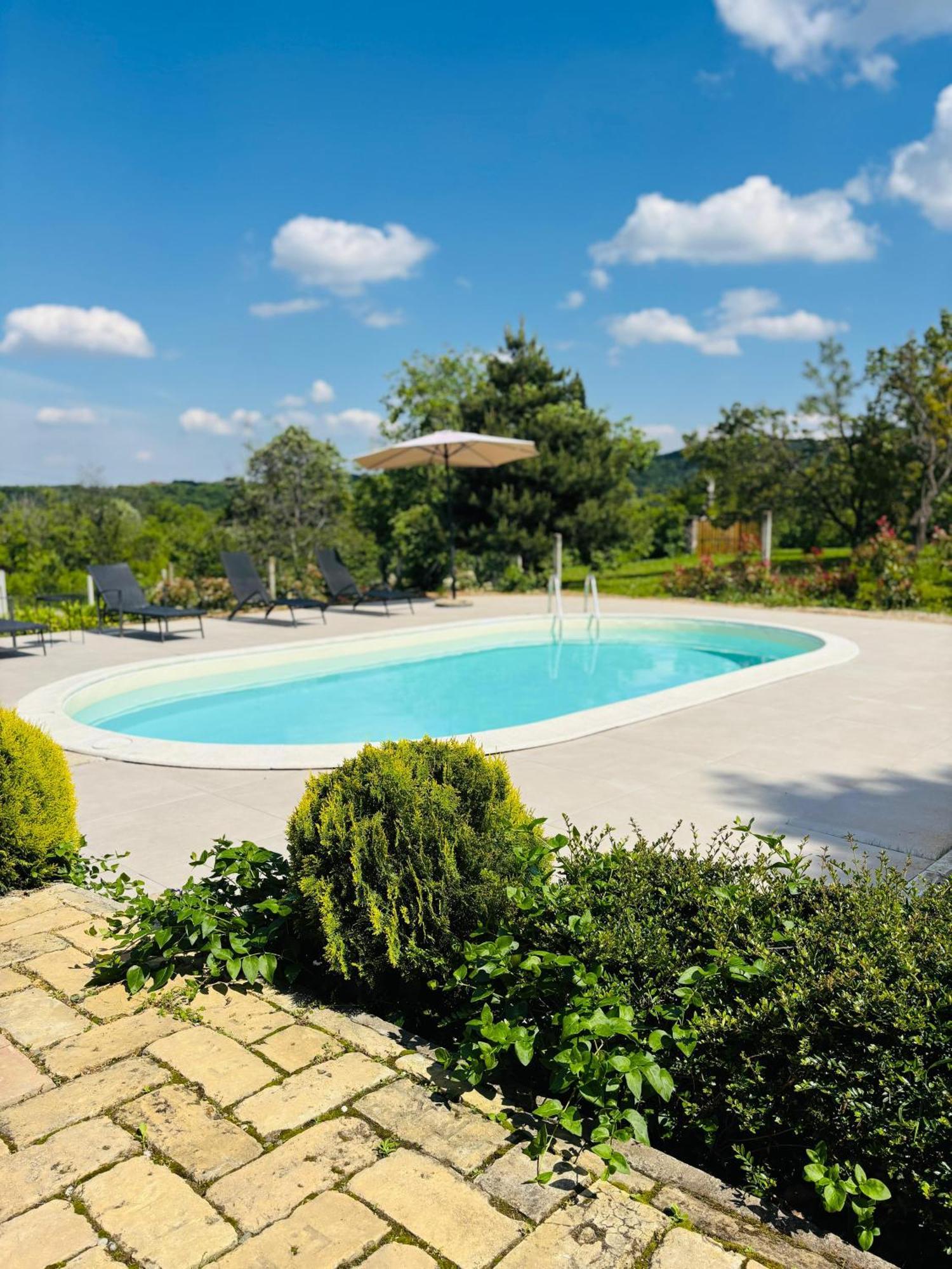 Вилла Fruska Pool House Sremska Kamenica Экстерьер фото