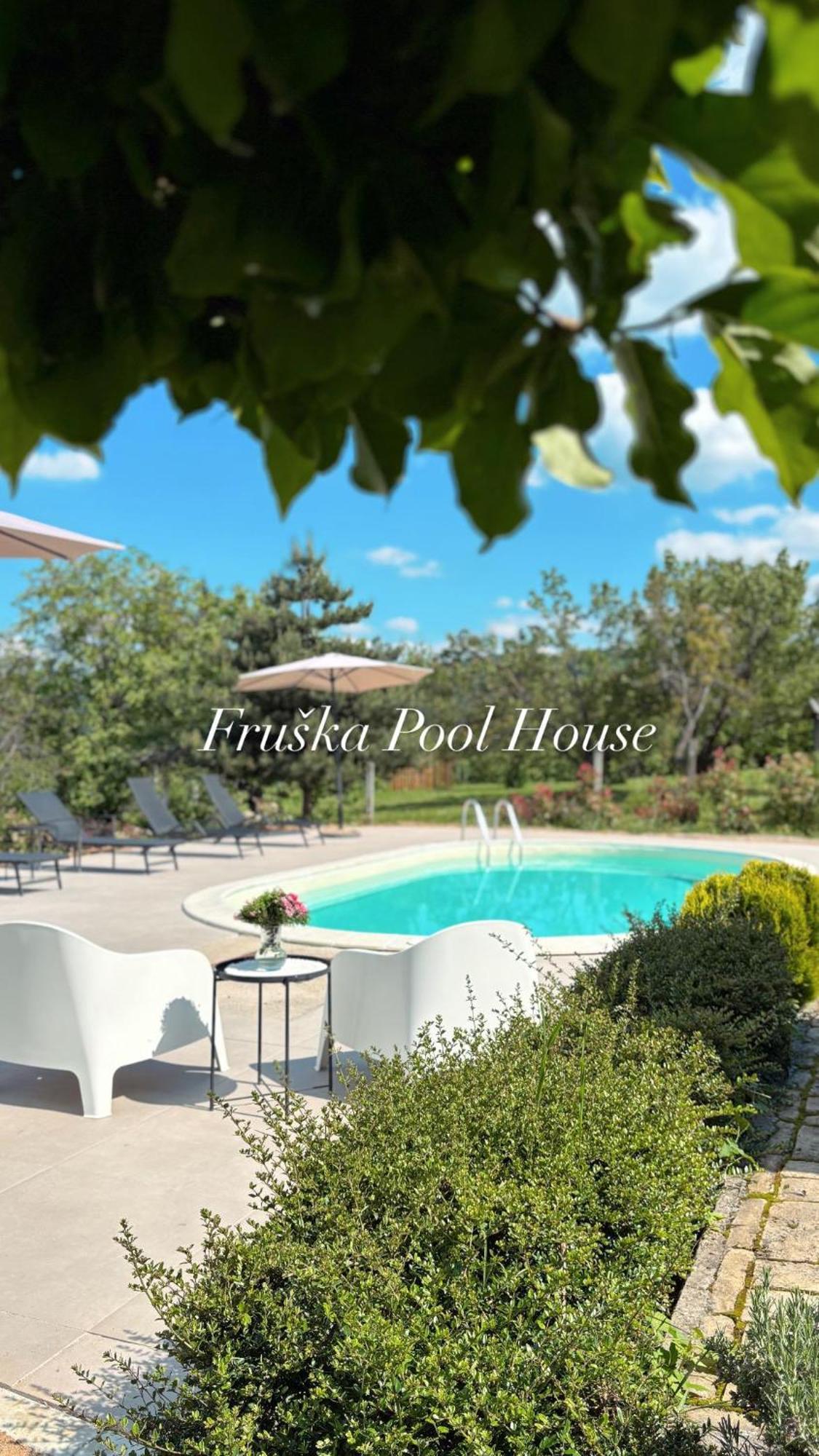 Вилла Fruska Pool House Sremska Kamenica Экстерьер фото