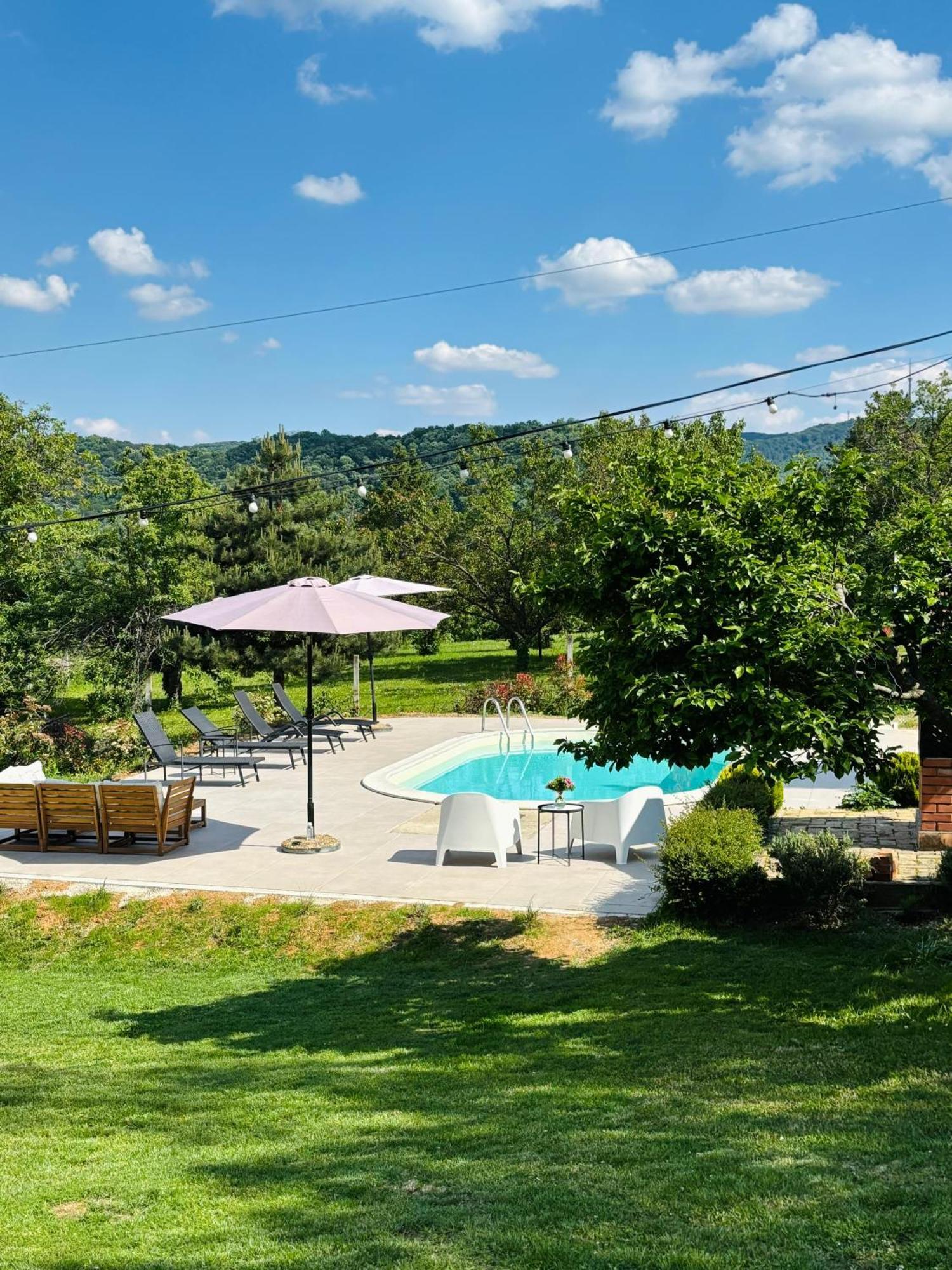 Вилла Fruska Pool House Sremska Kamenica Экстерьер фото