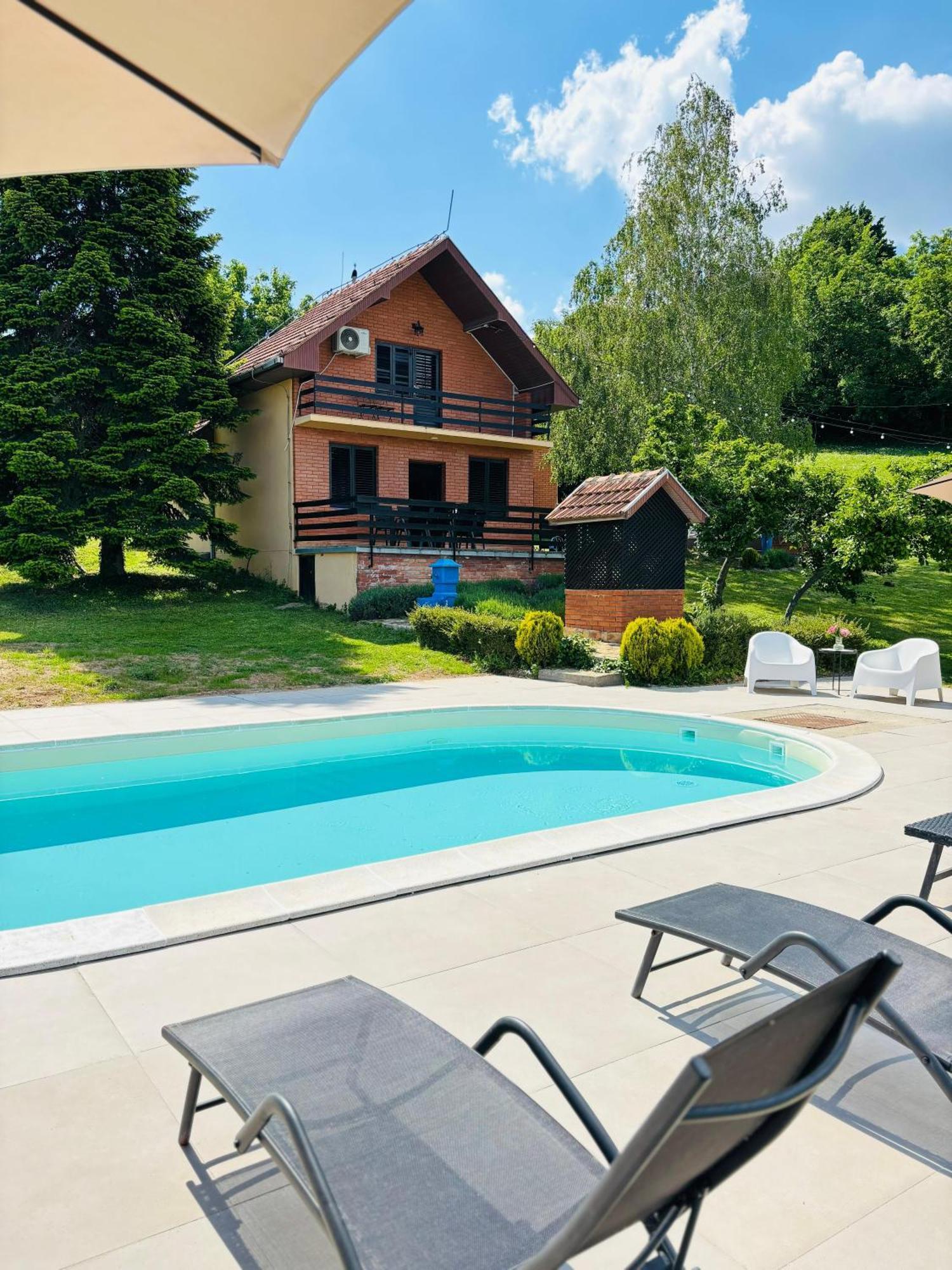 Вилла Fruska Pool House Sremska Kamenica Экстерьер фото